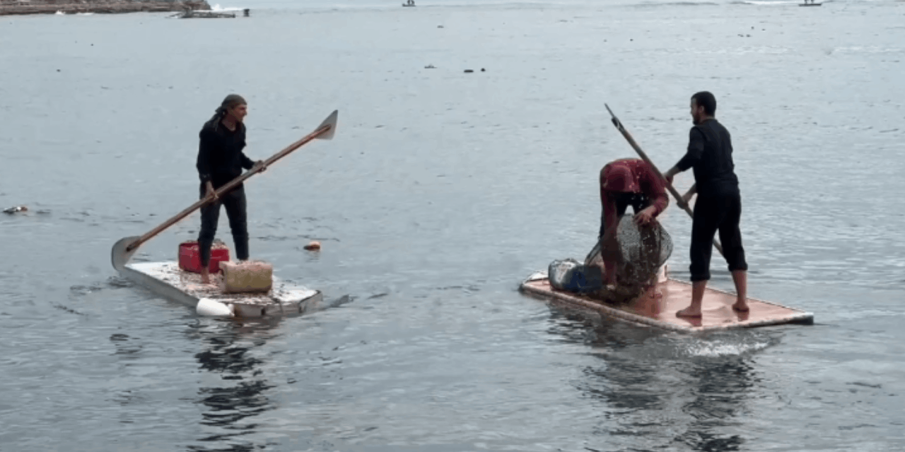 Gazze'de balık avı