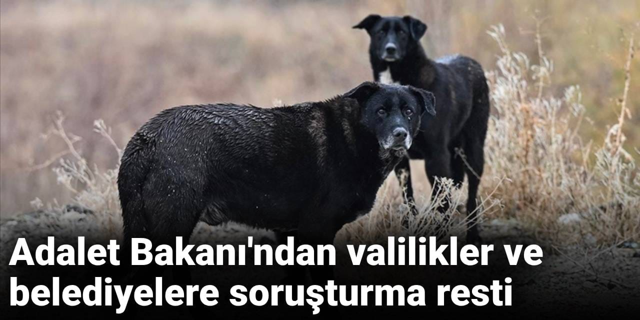 Adalet Bakanı'ndan valilikler ve belediyelere soruşturma resti