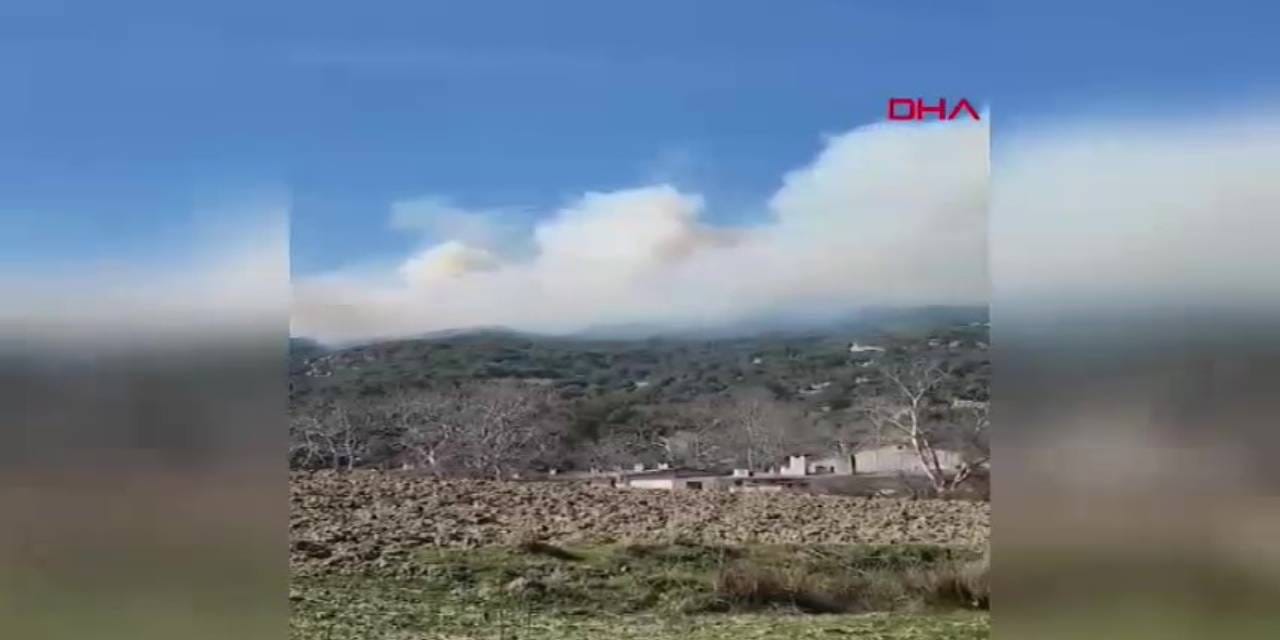 Çanakkale'de orman yangı