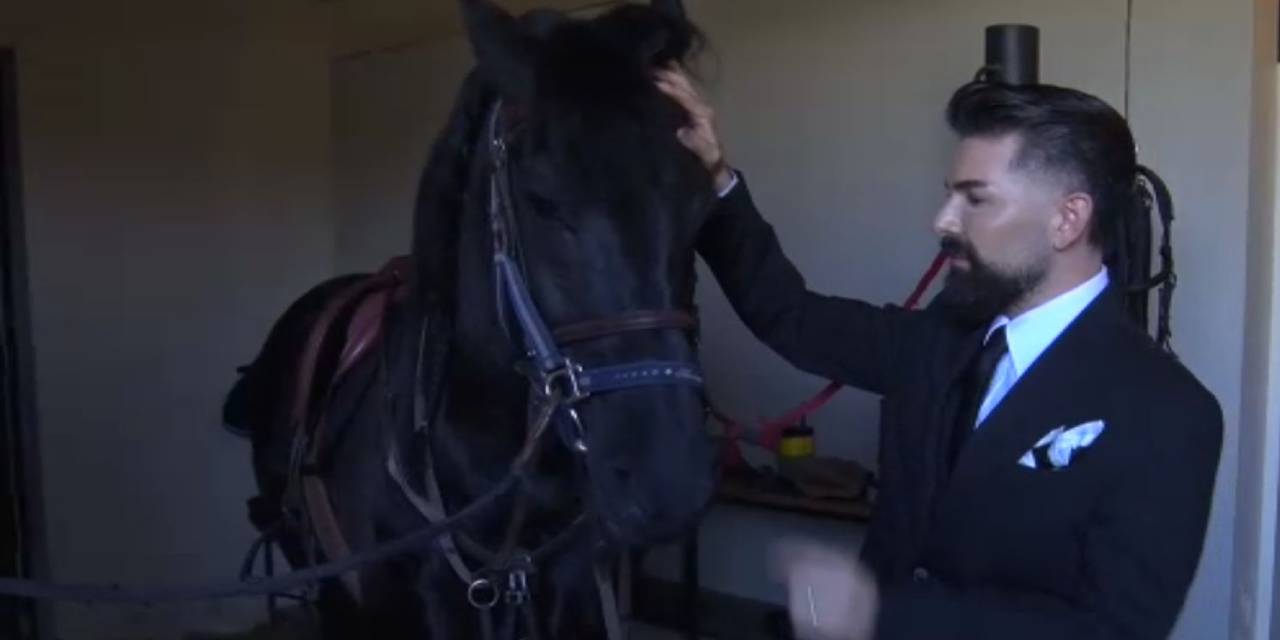 Gözlerinden etkilendiği atı satın aldı