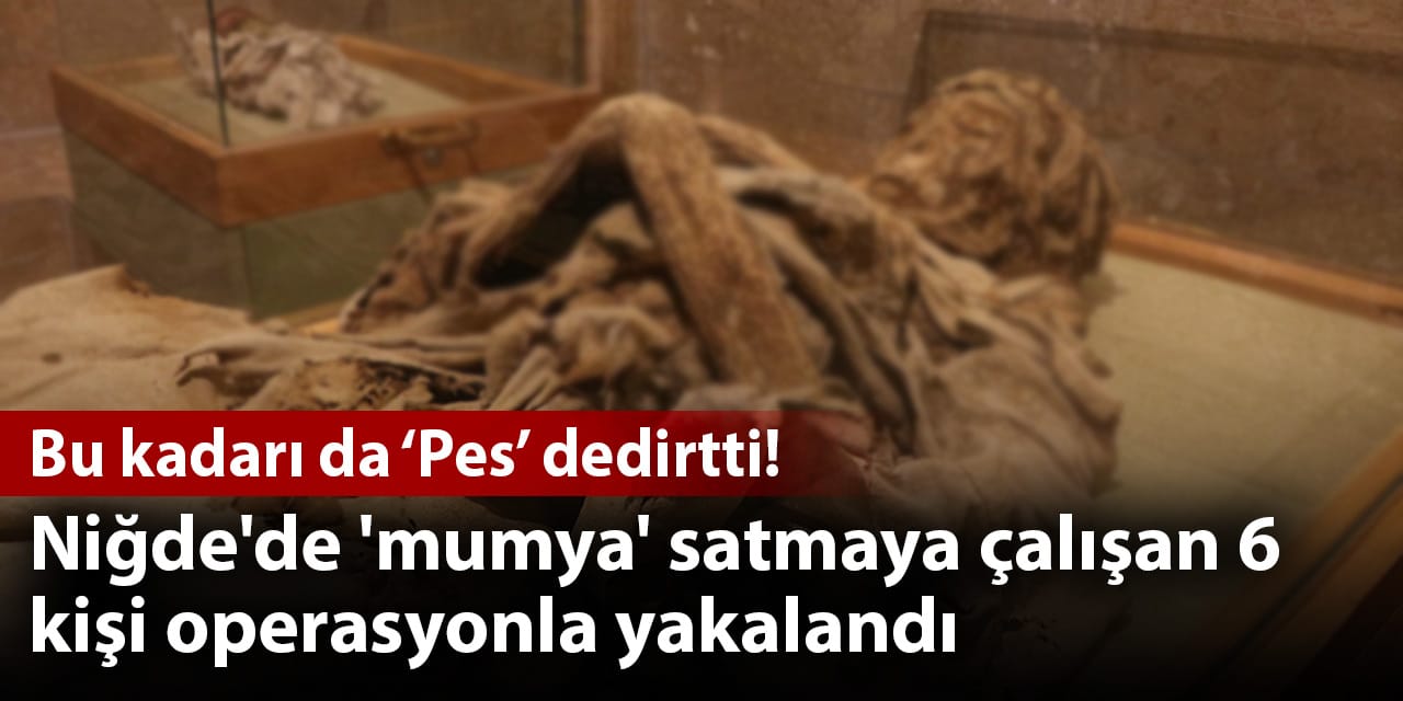 Pes dedirttiler! Niğde'de 'mumya' operasyonunda 6 kişi yakalandı