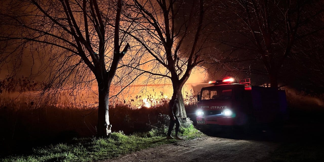 İznik Gölü kıyısında sazlık yangını