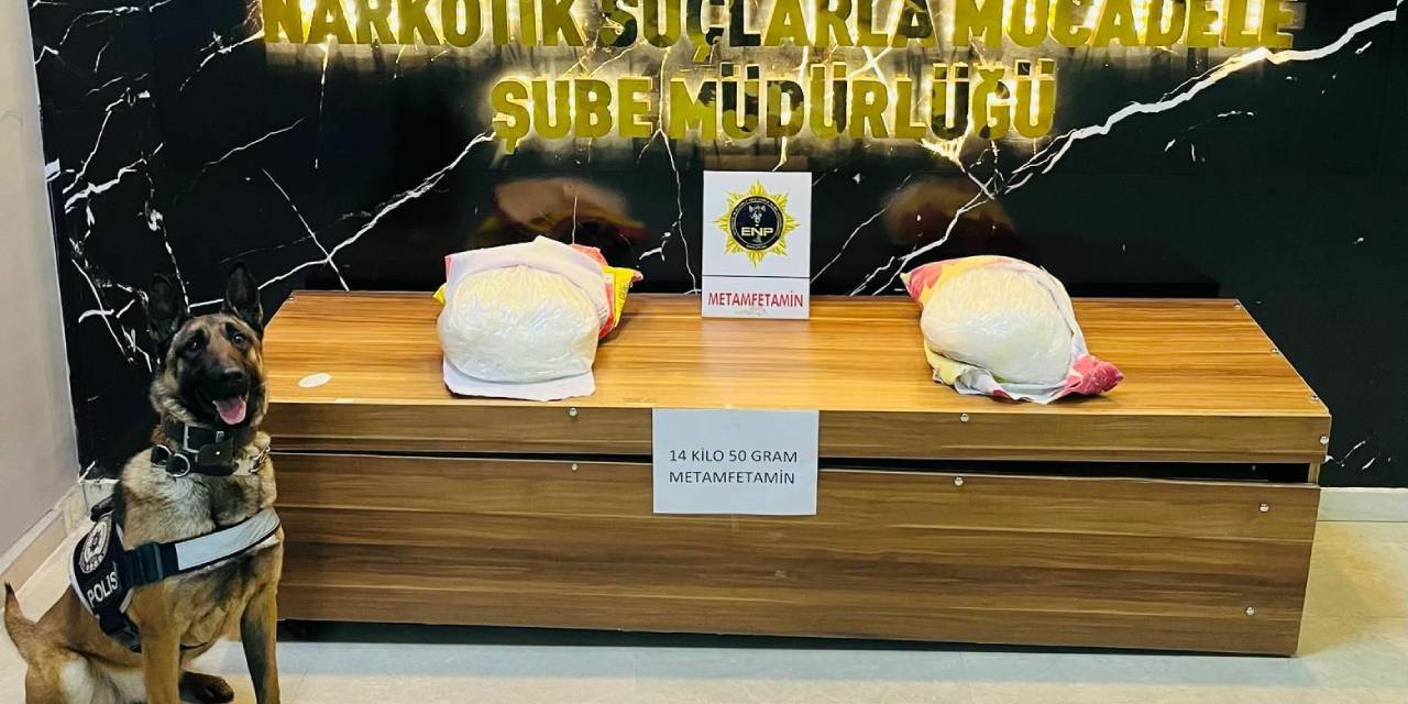Narkotik köpeği Hera Erzurum'da ünlendi