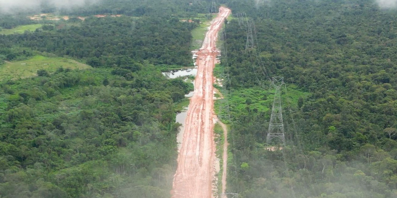 İklim zirvesi yapacağız dediler ağaçlara baltalarla giriştiler: Orman katliamı
