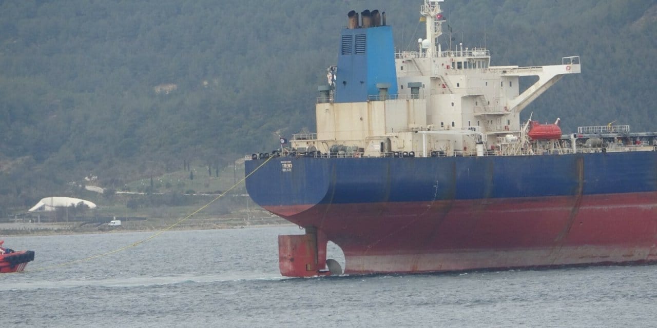 Bak bak bitmedi: Çanakkale'yi geçip Yalova'ya gitti