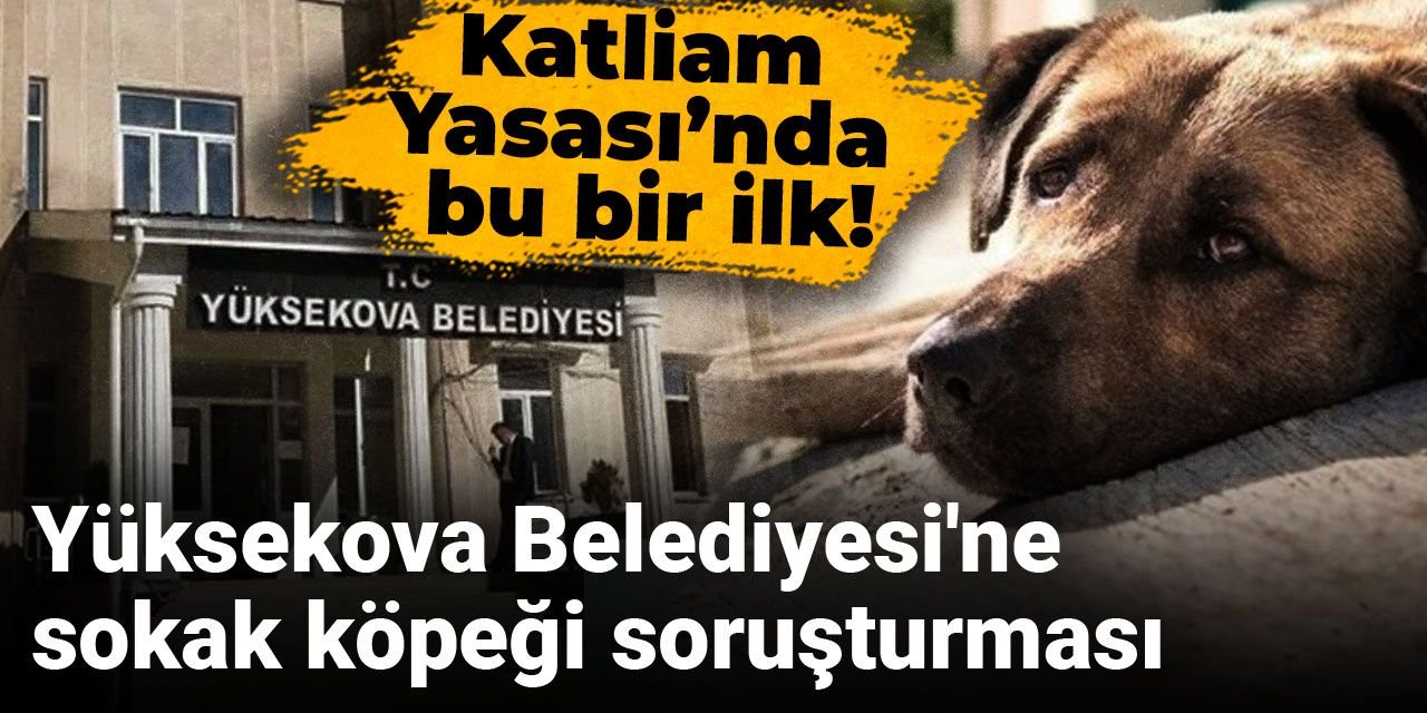 Yüksekova Belediyesi'ne sokak köpeği soruşturması