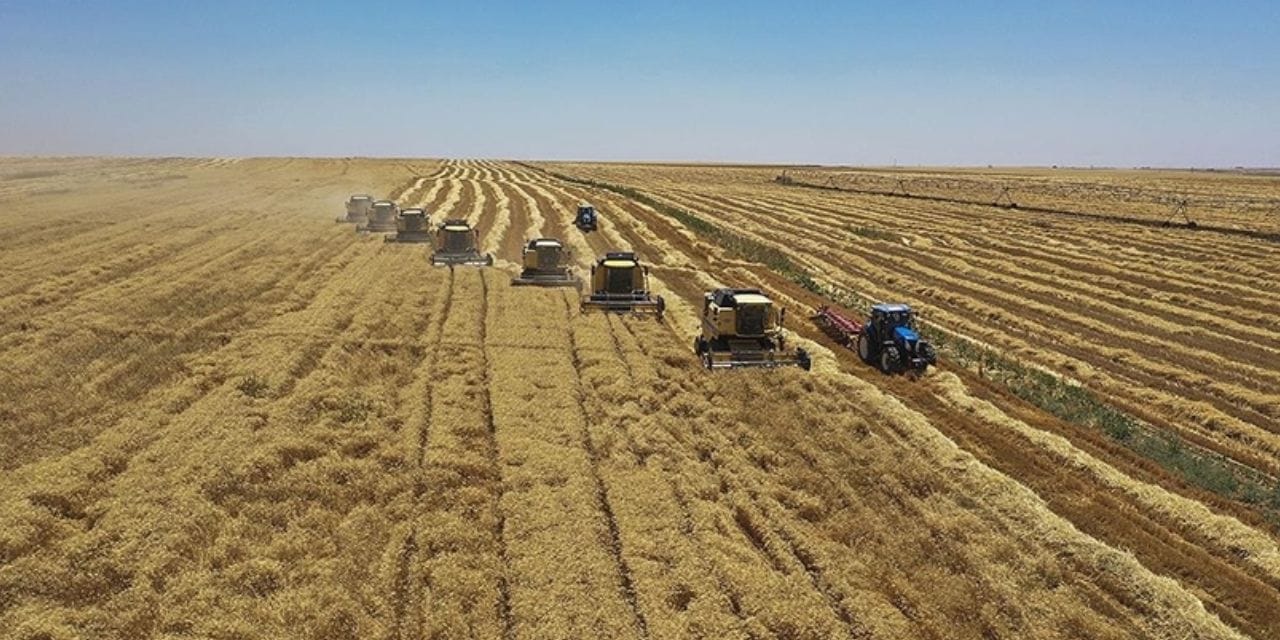 Tarım sigortalarında yeni karar: Hasar desteği netleşti