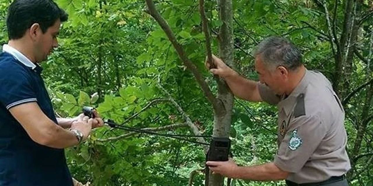 Yasa dışı avcılığa karşı teknoloji devrede!