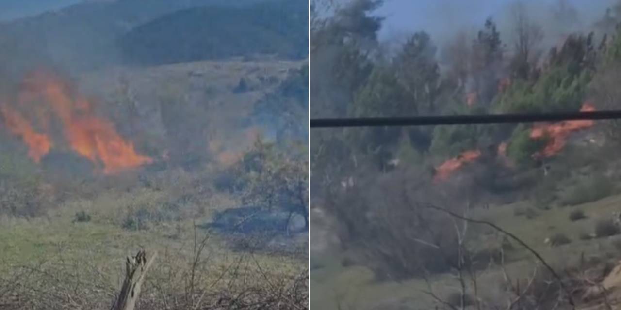 Tarlada çıkan yangın ormana sıçradı