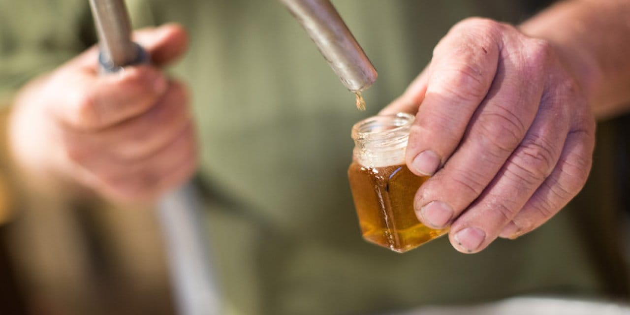 Antibiyotik kullanımını azaltmak için akçaağaç şurubu mucize çözüm olabilir