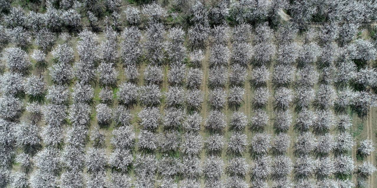 Malatya beyaz gelinliğini giydi