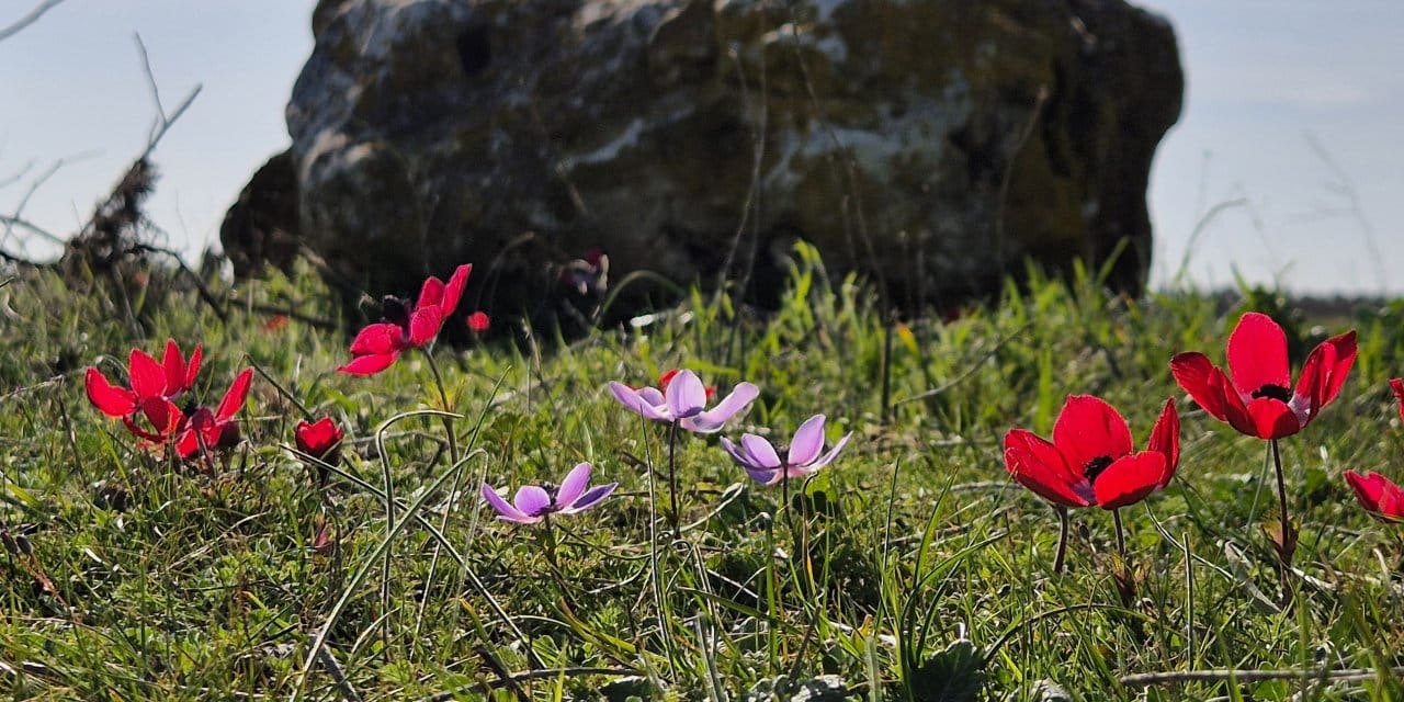 "Anadolu piramitleri" rengarenk