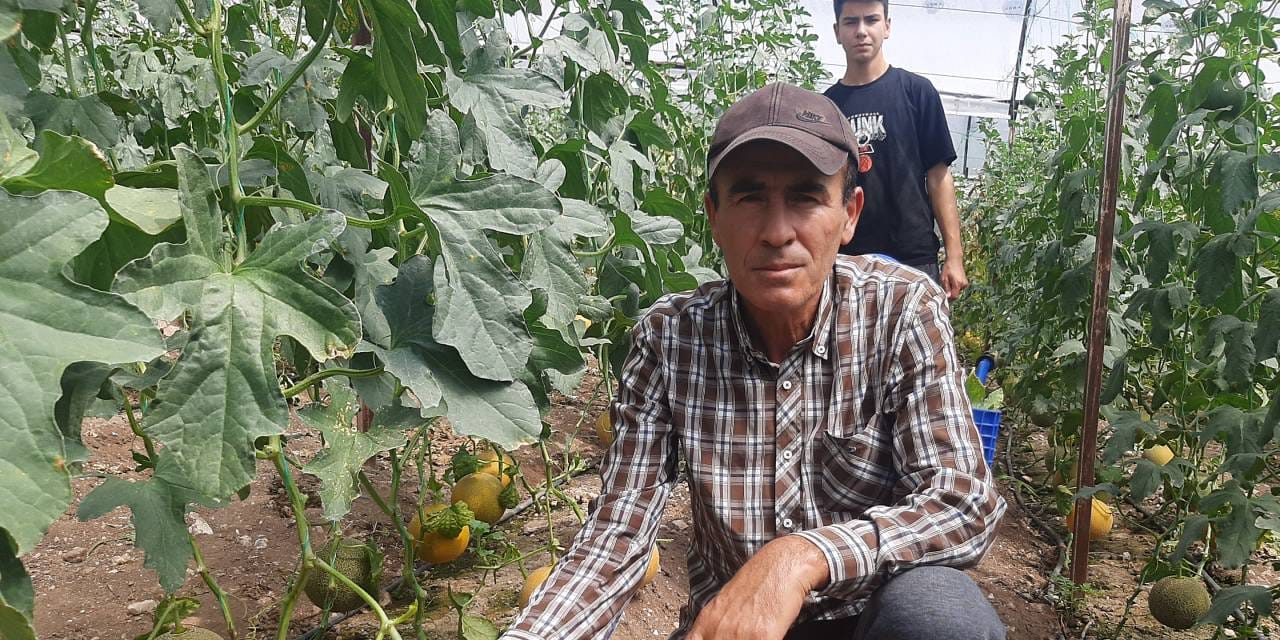 'Bu mevsimde olmaz' diyenlere inat kışın yetiştirdi: Şimdi 200 liradan satıyor