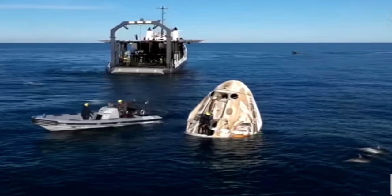 Uzayda 9 ay geçiren NASA astronotları Florida'ya döndüler ve ilk karşılaştıkları yunuslar oldu