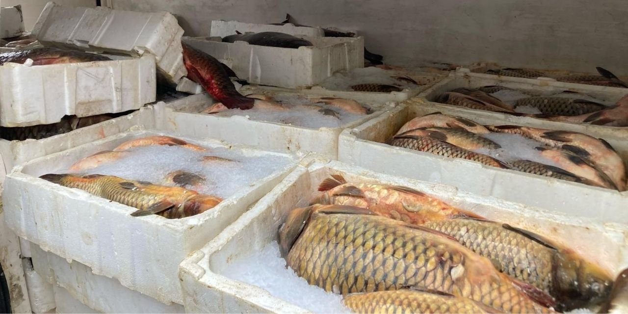 Kaçak balık avına ceza!