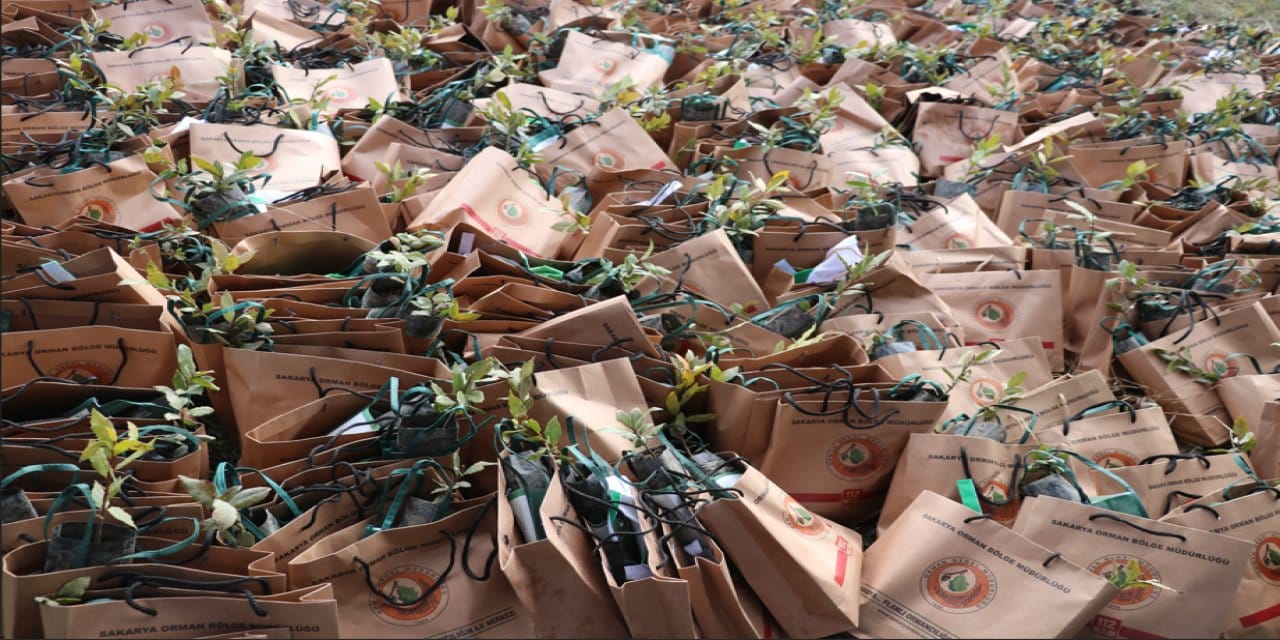 Kocaeli ve Sakarya'da  binlerce fidan toprakla buluştu