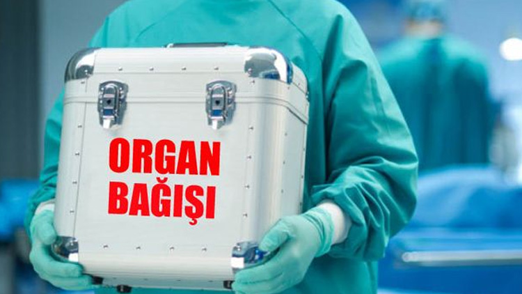 Türkiye'de organ bağışı birincisi ilçe belli oldu