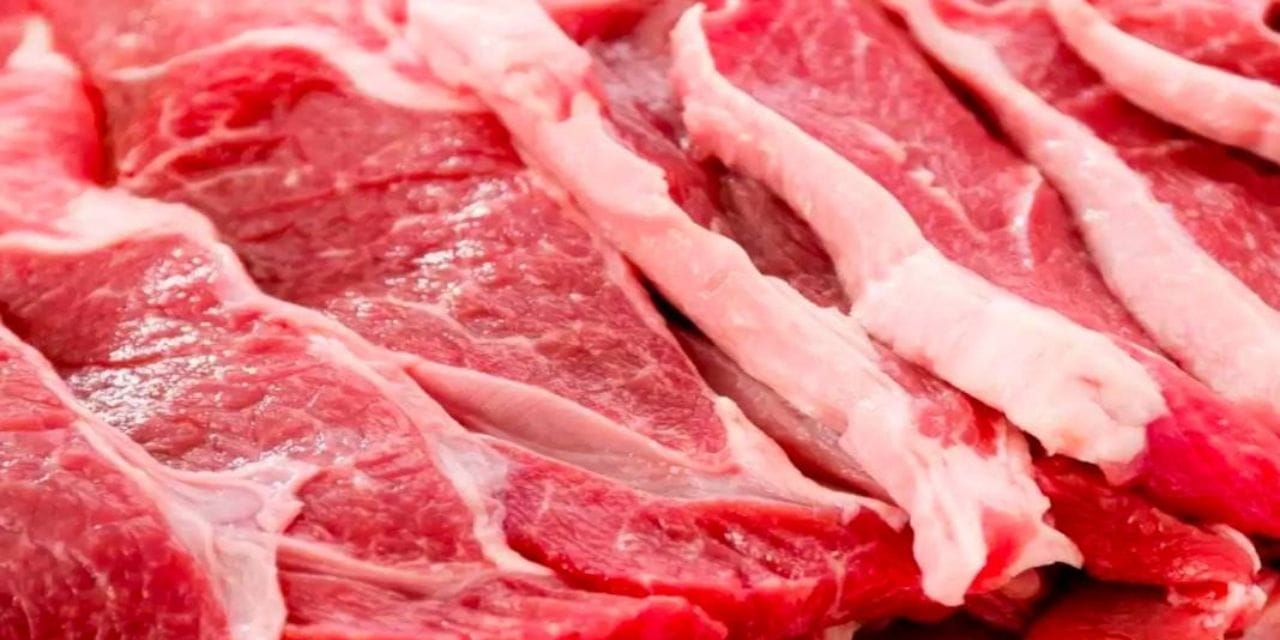 Bakanlık ifşa etti! Vatandaşa at ve eşek eti yedirmişler