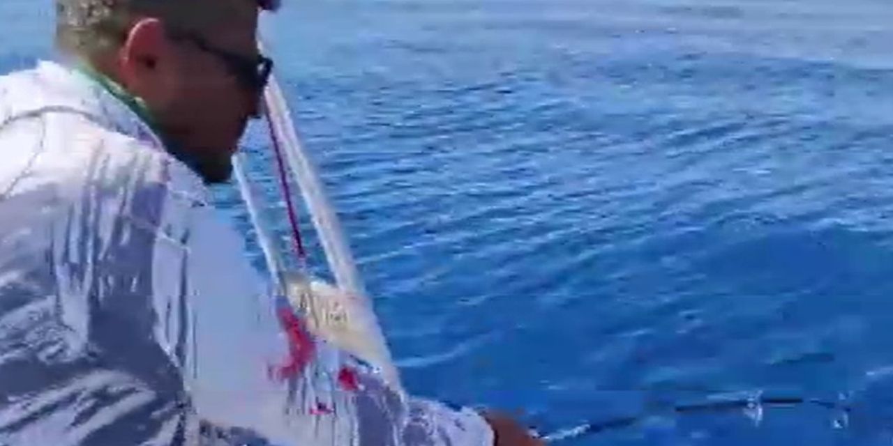 Oltayla 56 kiloluk dev sarıkuyruk yakaladı