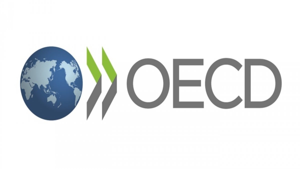 OECD Türkiye'nin büyüme öngörüsünü düşürdü