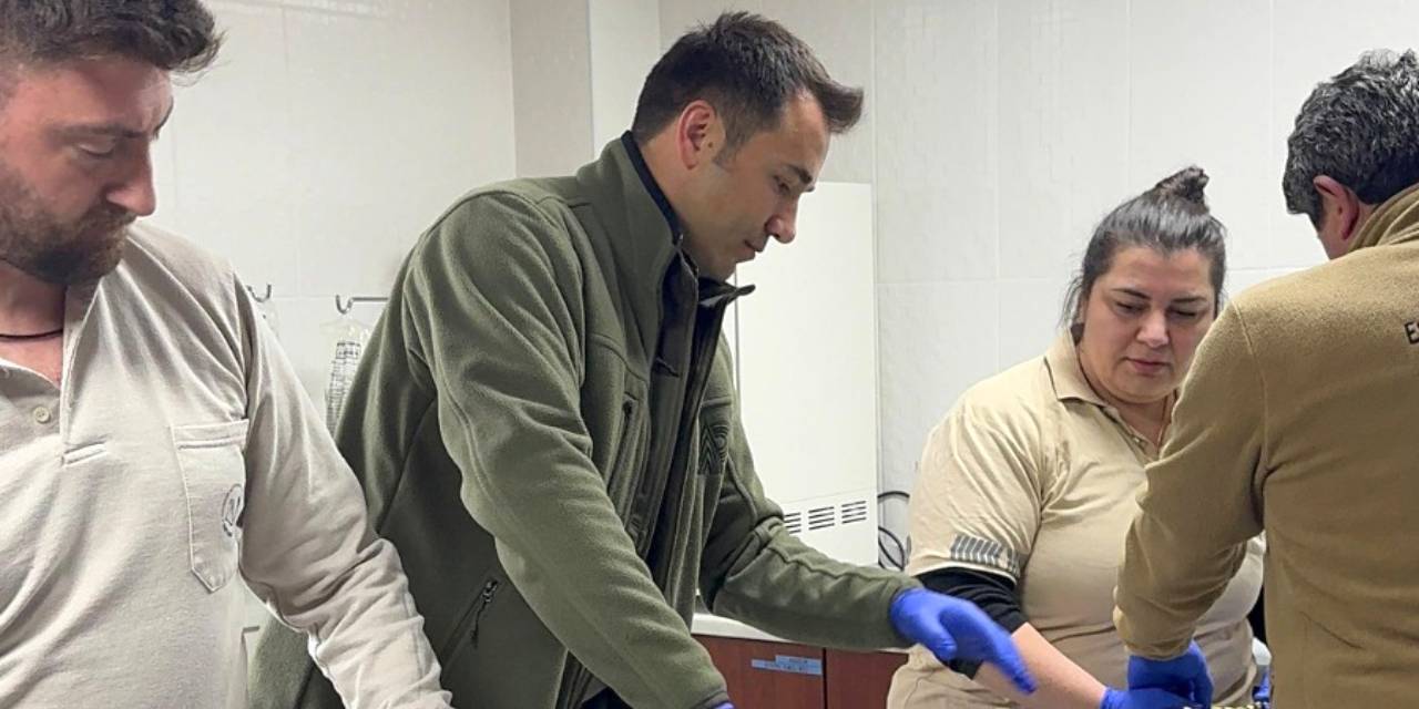 Yolcu otobüsündeki kutudan çıkan canlı polisleri şok etti