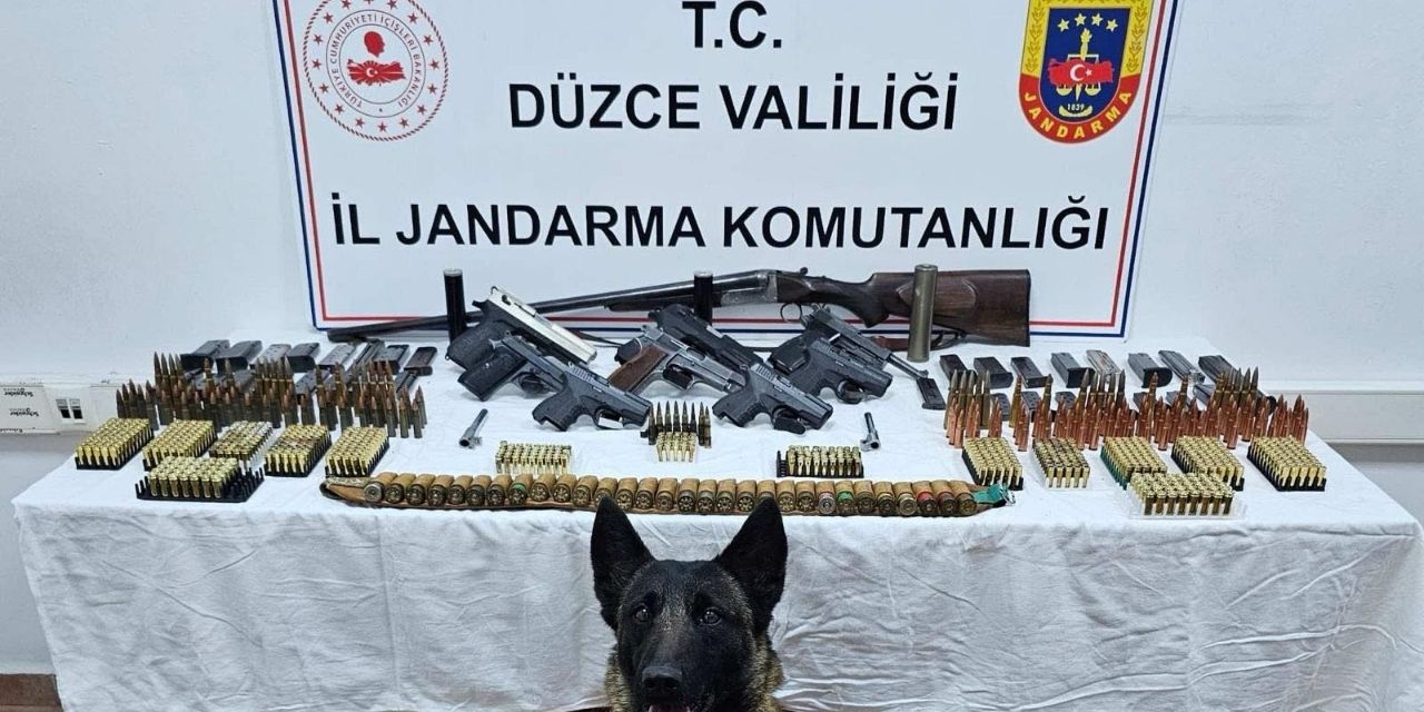 Arı kovanlarına gizlenmiş birçok silah ve mühimmat ele geçirildi