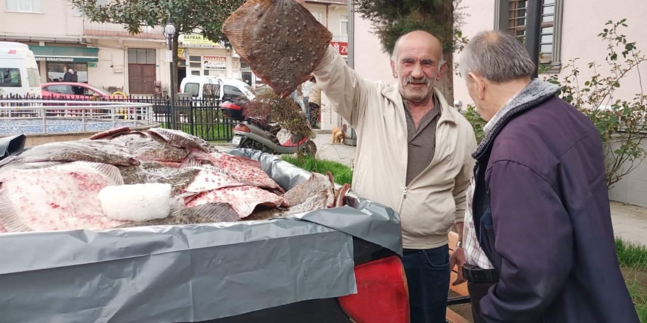 Bedava kalkan balığı dağıttılar