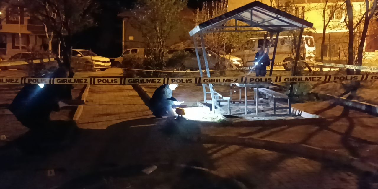 Parkta korku dolu anlar: 1 ölü, 3 yaralı
