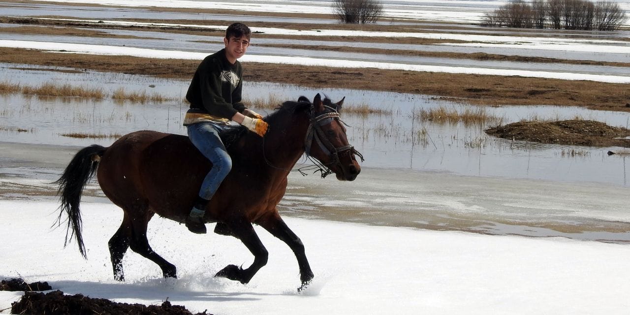 Göle’de kış sonrası su baskını