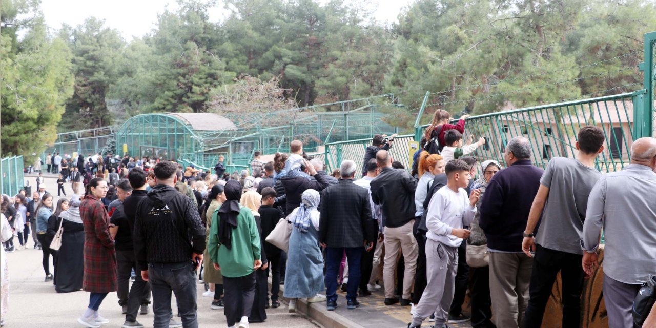 Gaziantep'te herkes oraya koştu: Civar illerden de geldiler görmek için yarıştılar