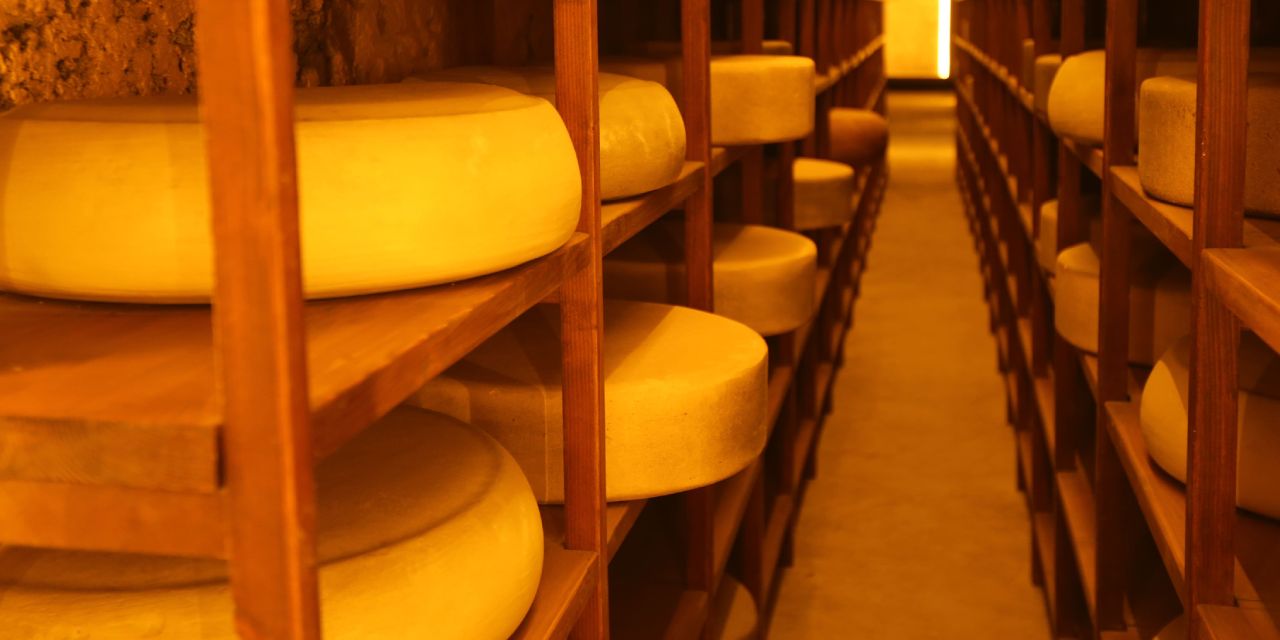 Peynirin tarihine yolculuk! Kars Peynir Müzesi