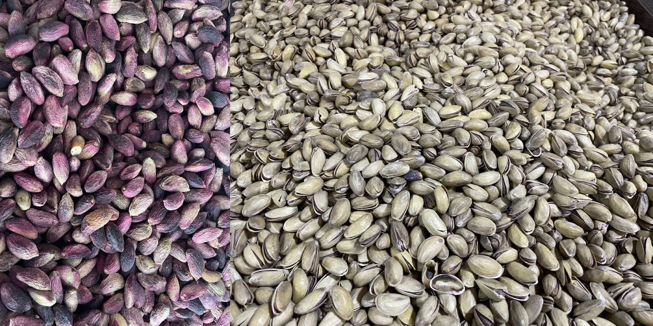 Fıstık üretiminde Şanlıurfa atağı