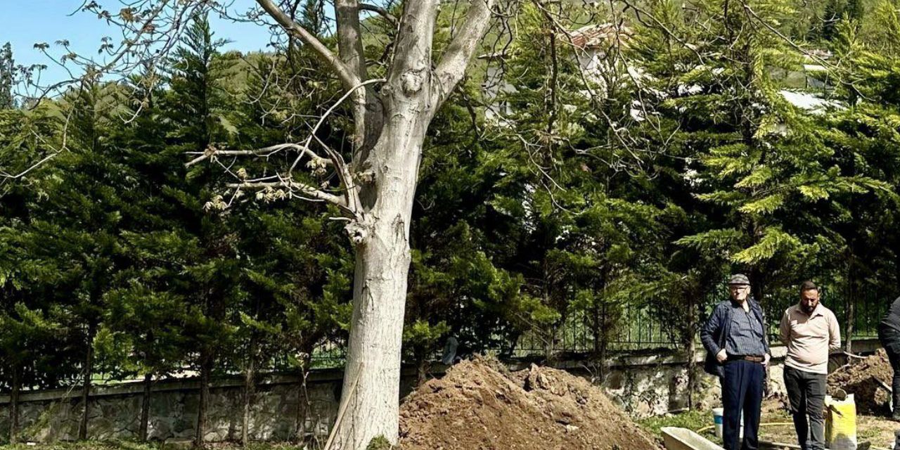 Trabzon evladını bekliyor: Volkan Konak ceviz ağacının altında ebedi uykuya dalacak