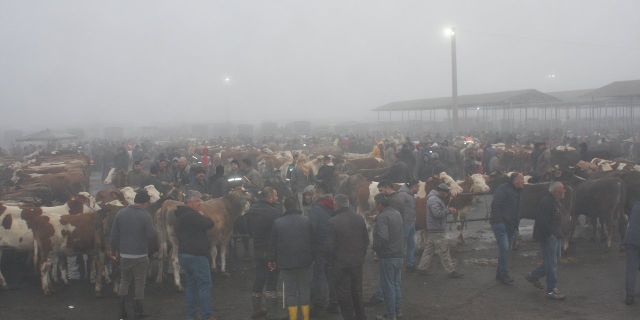 Türkiye'nin en büyüklerinden biri Sivas'ta: Yoğunluk var