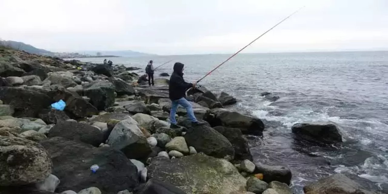 Bedava 2 ton balık için yarıştılar