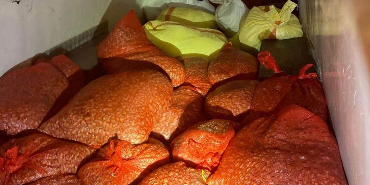 Midye avı pahalıya patladı: 37 bin lira ceza!