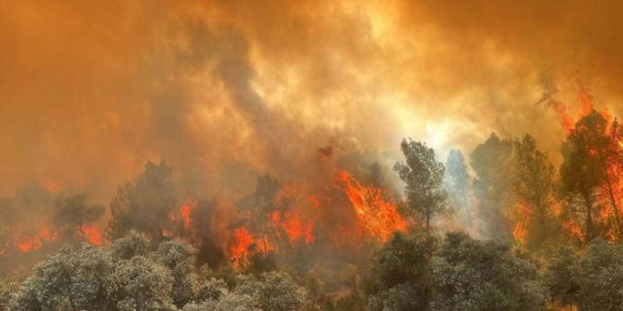 Yangınlar için yeterli hava gücü yok, kiralamaya milyonlarca lira harcama var