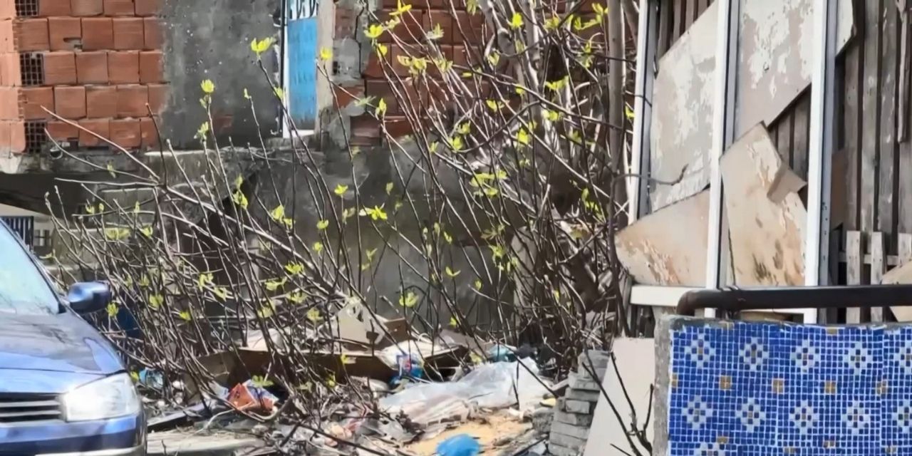 Kan izlerini takip etti! Kardeşinin cansız bedenine ulaştı