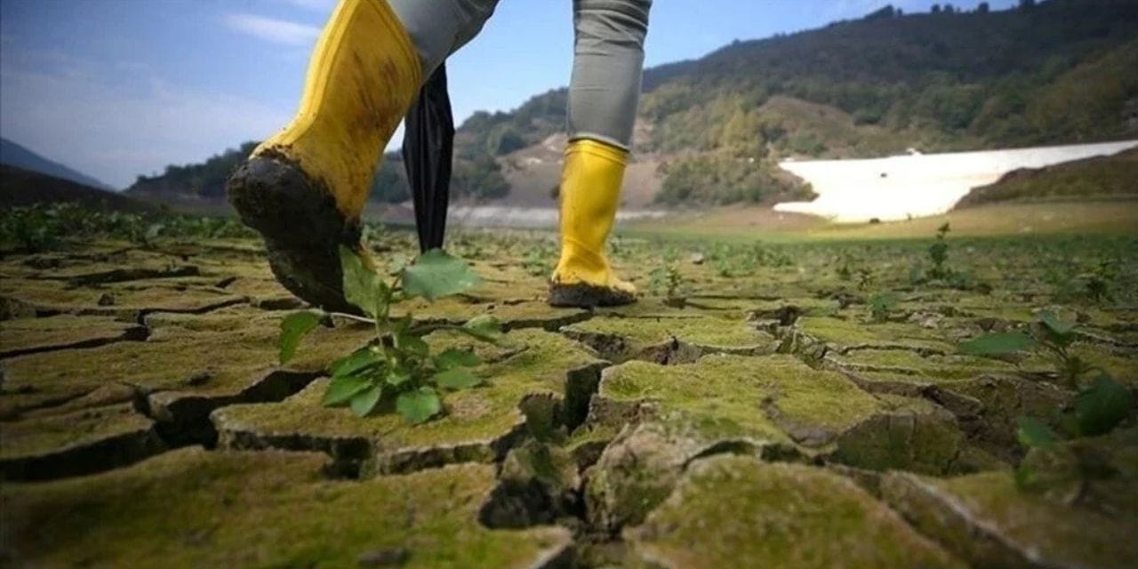 İlk iklim kanunu için düğmeye basıldı: Türkiye'nin 2053 hedefi belirlendi!