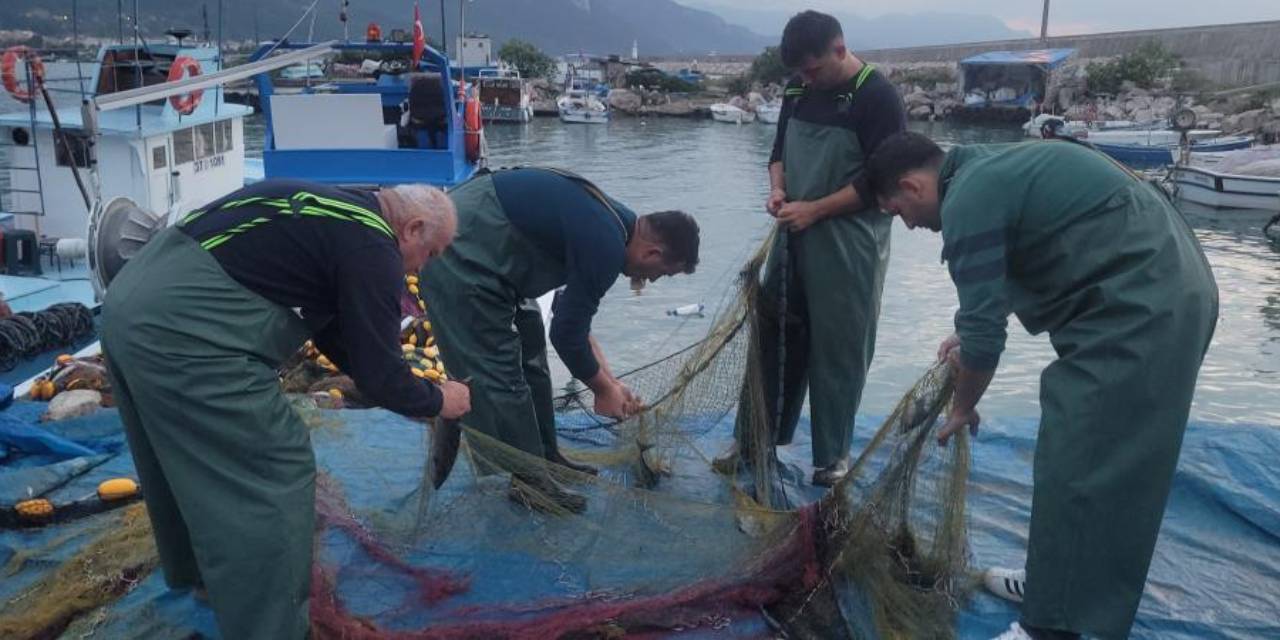 Karadeniz'de nadir görülüyordu: Balıkçıların ağına takıldı