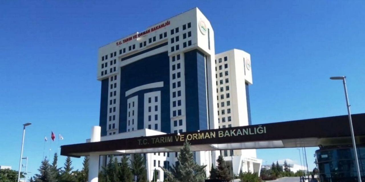 Hayvancılıkta ikinci destek dönemi: Başvurular yarın alınacak