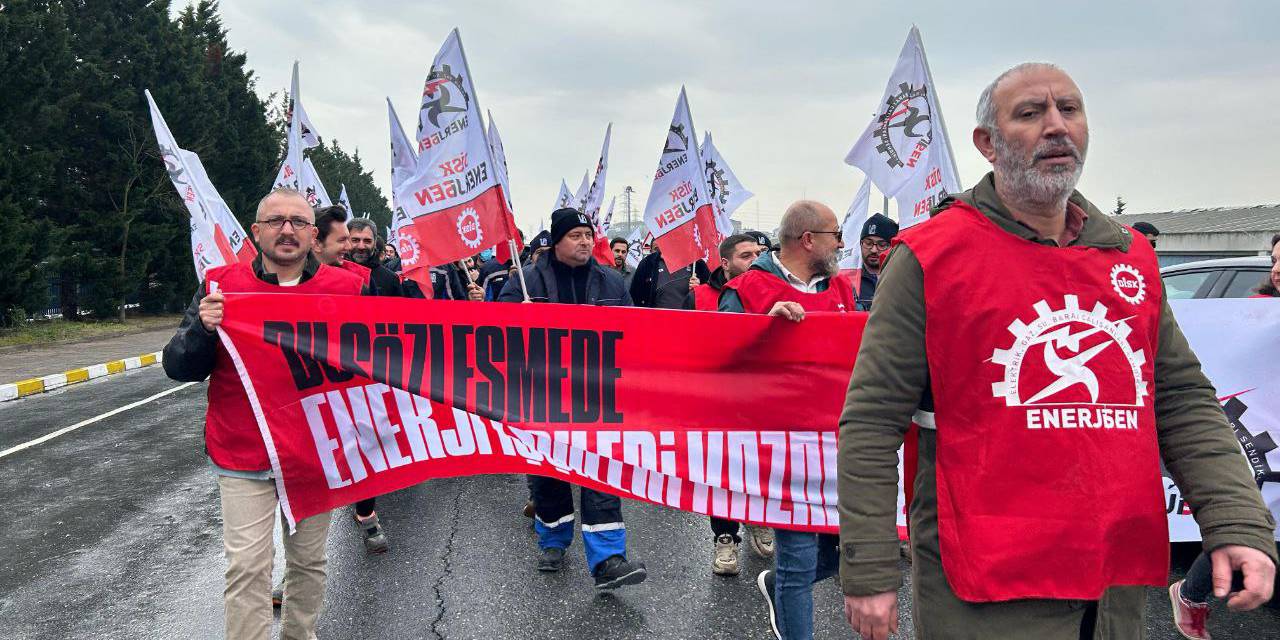 Genel başkanı tutuklanan DİSK Enerji-Sen'den çağrı