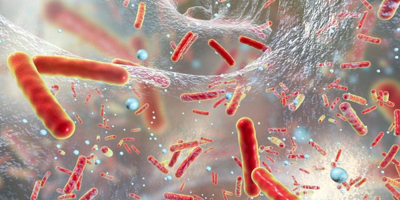 Antibiyotikler çaresiz kalıyor: Ölümcül bakteri yayılıyor!