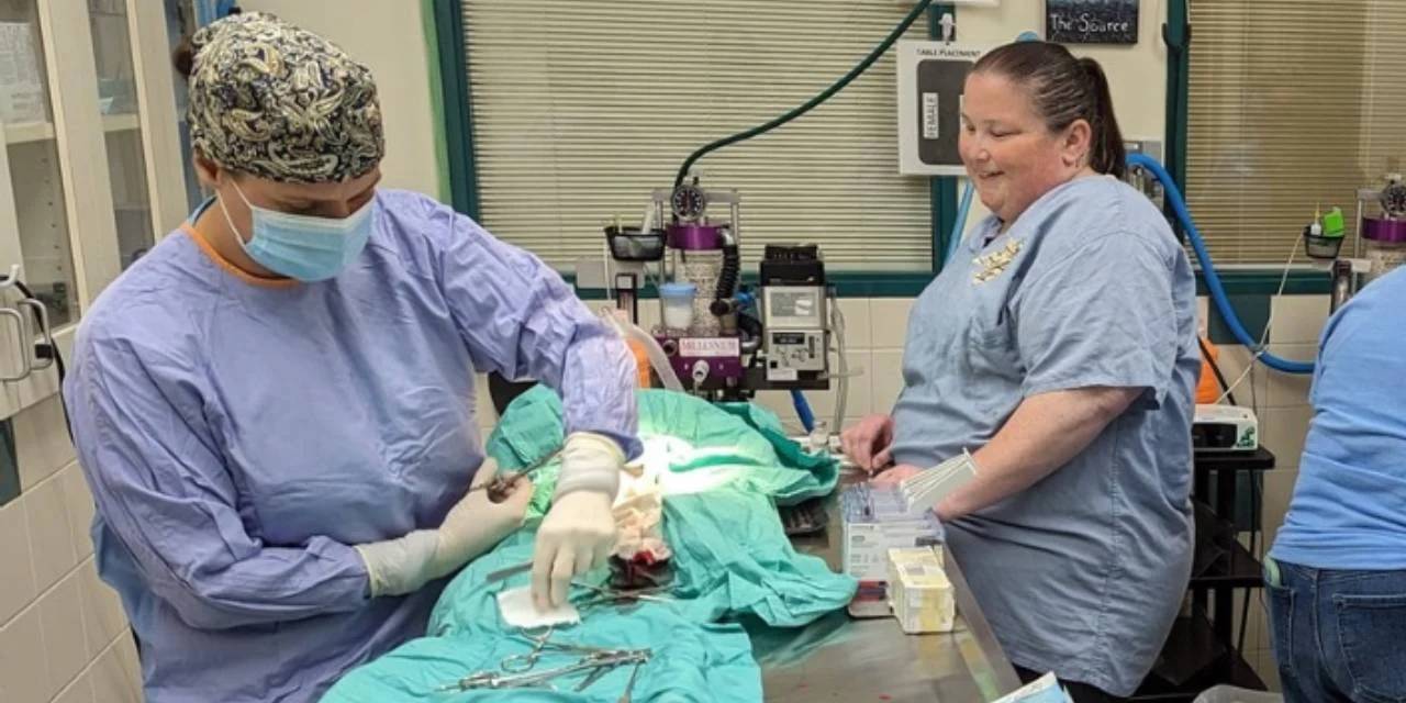 100 yaşında dünyaya getirdi