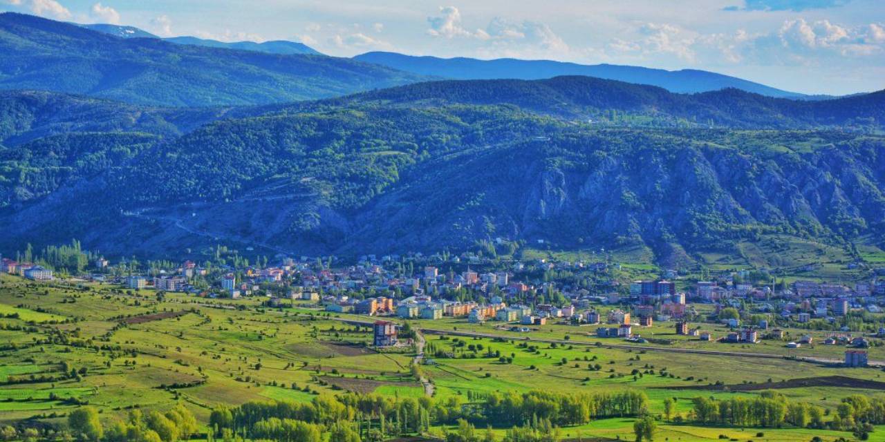 Giresunlular hiç böyle geyik görmemişti