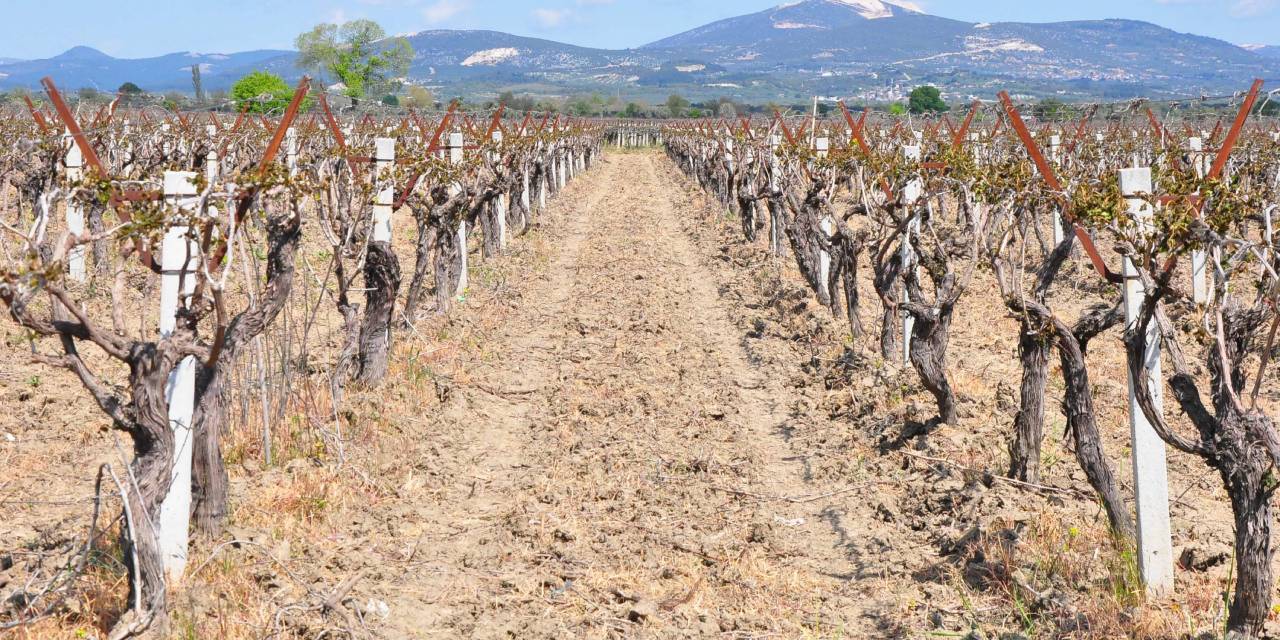 Manisa'da tehlike devam ediyor! 'Burada ne sanayi ne ticaret olur'