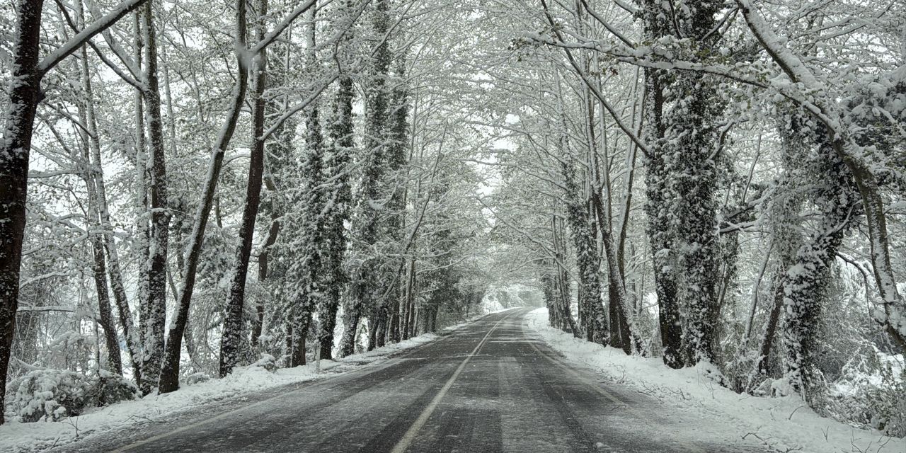 Ağaç tünel yol beyaza büründü