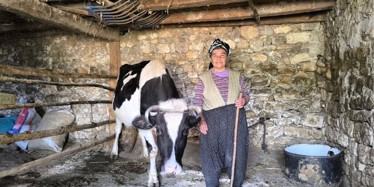 Süt üreticileri tepkili: Mazot zamlandı, yem zamlandı, süt hâlâ aynı