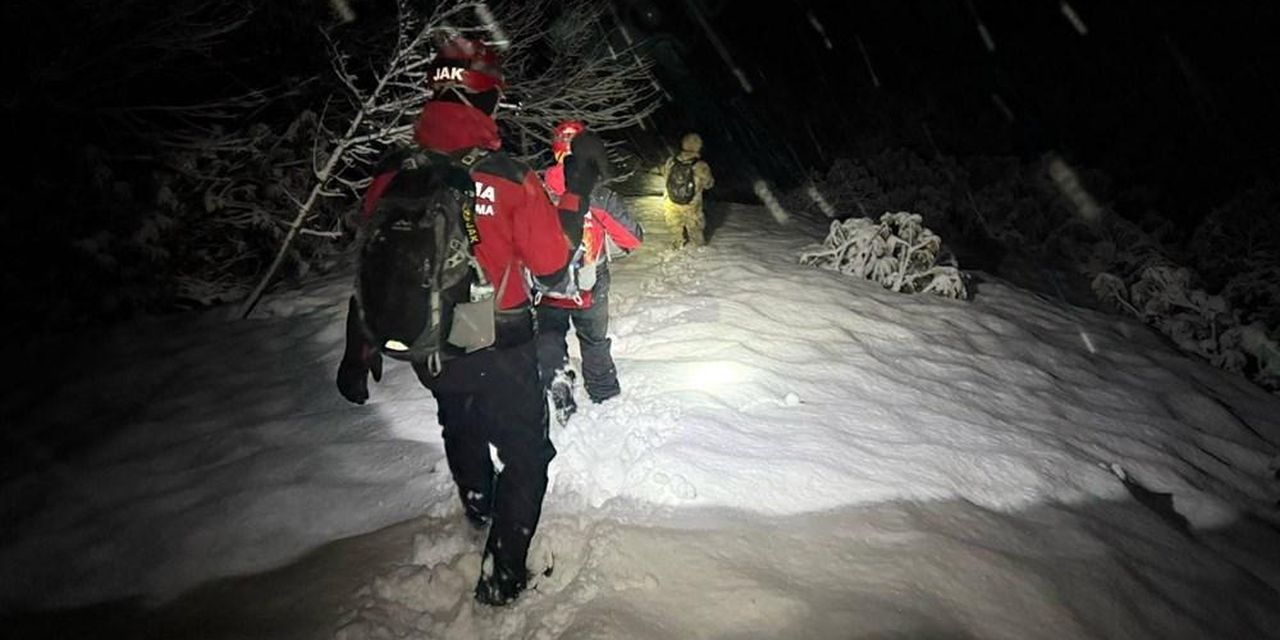 Ülkeye kaçak girdiler, ormanda kayboldular