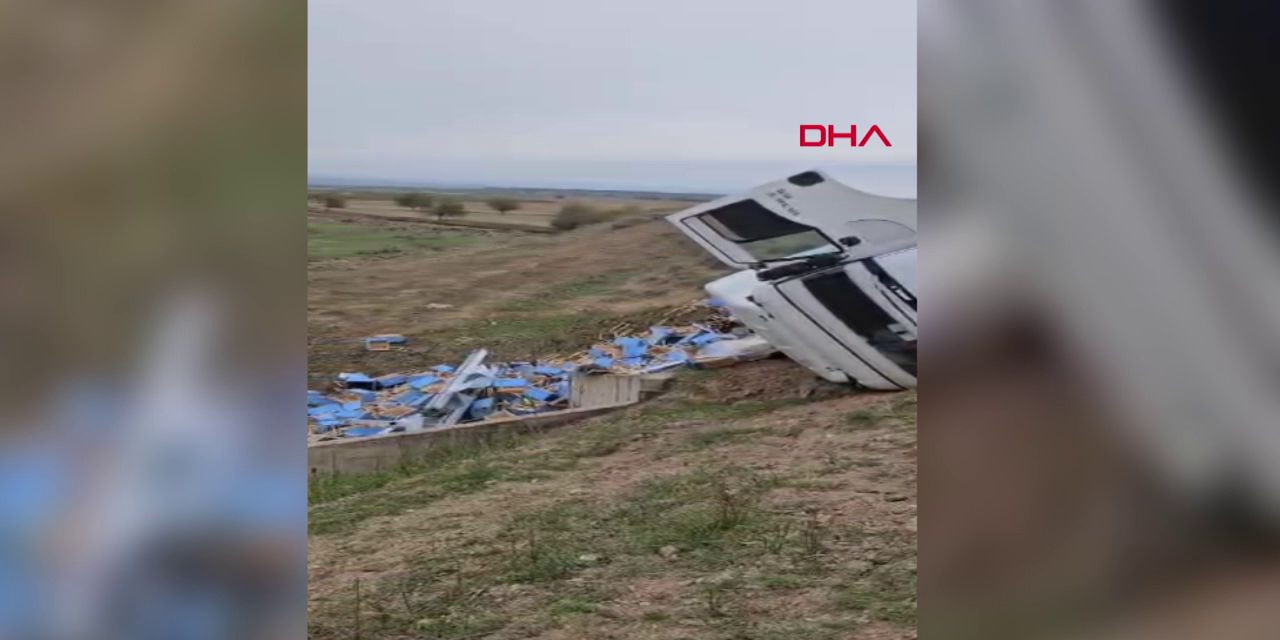 Arı kovanı yüklü TIR şarampole devrildi